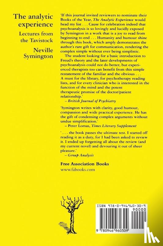 Symington, Neville - The Analytic Experience