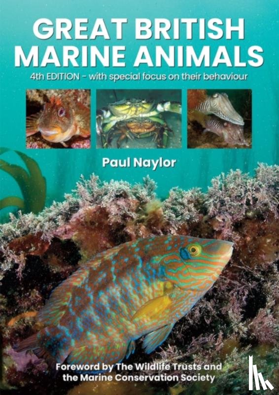 Naylor, Paul - Great British Marine Animals