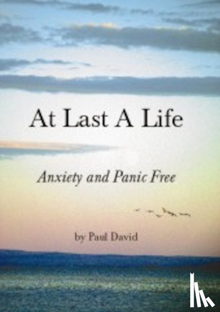 David, Paul - At Last a Life