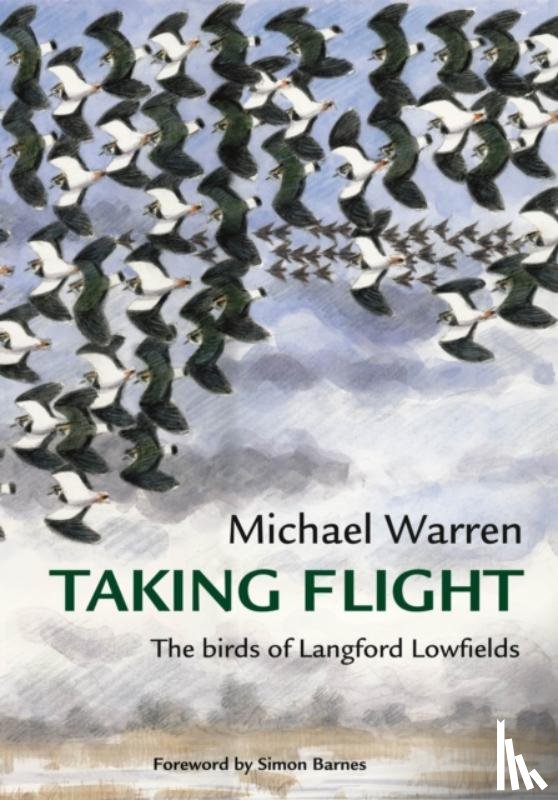 Warren, Michael - Taking Flight