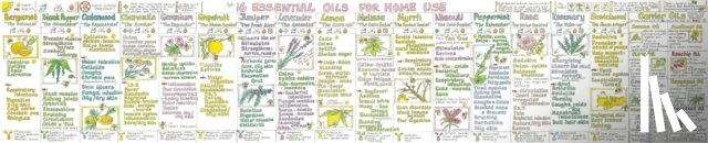 Cook, Liz, Ballantyne, Bee - Essential Oils for Home Use