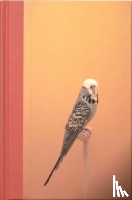 Stephenson, Luke - An Incomplete Dictionary of Show Birds