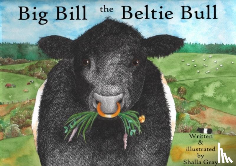  - Big Bill the Beltie Bull