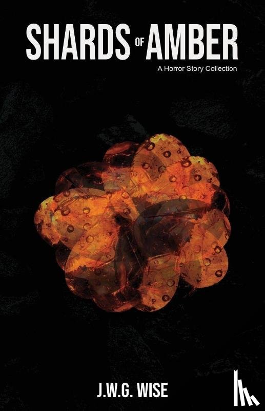 Wise, J. W. G. - Shards of Amber