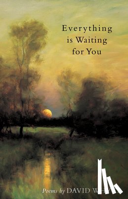 Whyte, David - Everything Is Waiting for You