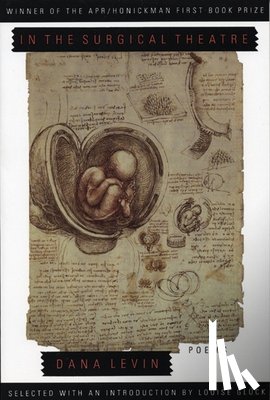 Levin, Dana - In the Surgical Theatre