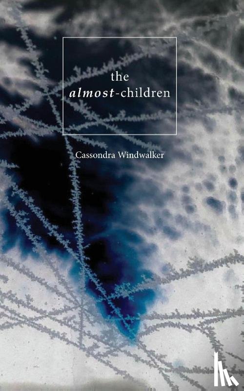 Windwalker, Cassondra - The Almost-Children