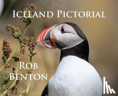 Benton, Rob - Iceland Pictorial