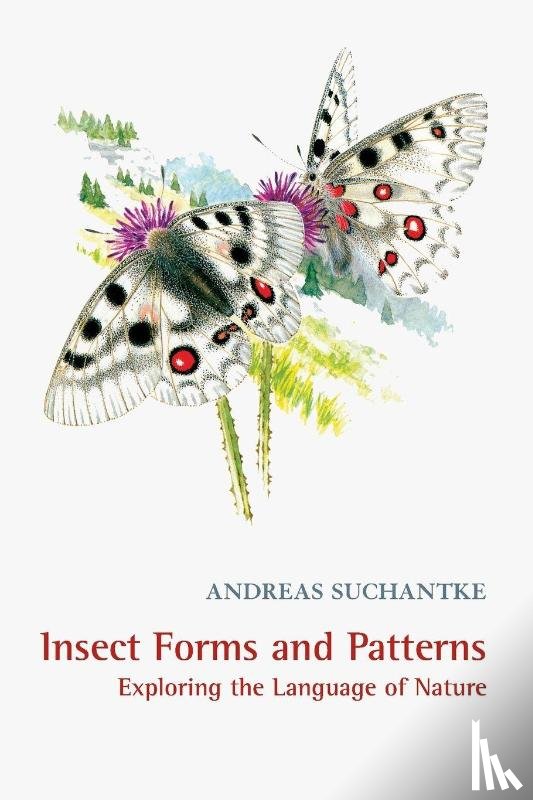 Suchantke, Andreas - Insect Forms and Patterns Exploring the Language of Nature