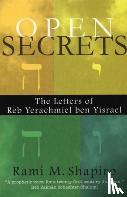 Shapiro, Rabbi Rami M. - Open Secrets
