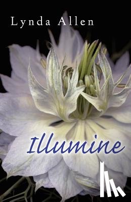 Allen, Lynda - Illumine
