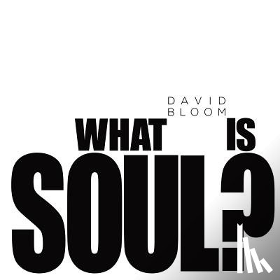 Bloom, David - What Is Soul?
