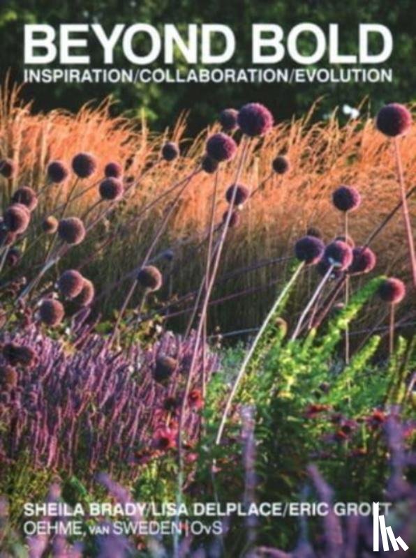 Groft, Eric, Brady, Sheila, Delplace, Lisa - Beyond Bold: Inspiration, Collaboration, Evolution