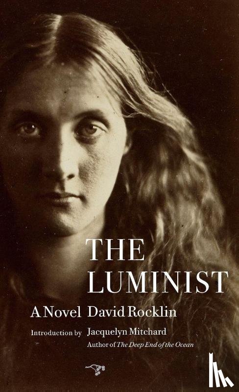 Rocklin, David - The Luminist
