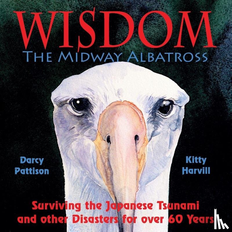 Pattison, Darcy - The Midway Albatross Wisdom