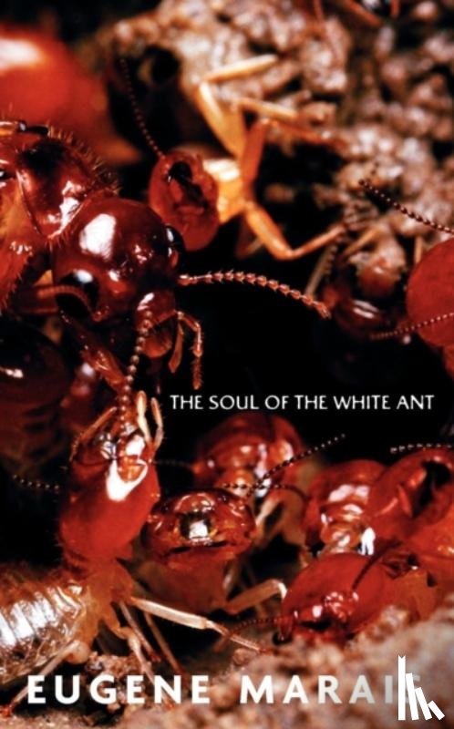 Marais, Eugene N - The Soul of the White Ant