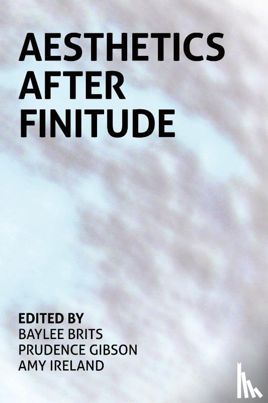  - Aesthetics After Finitude