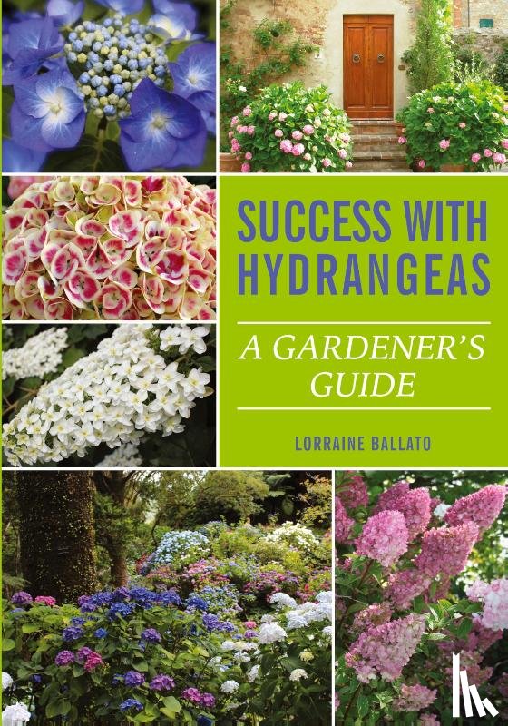 Ballato, Lorraine - Success With Hydrangeas