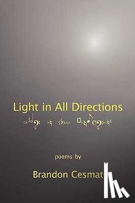 Cesmat, Brandon - Light in All Directions