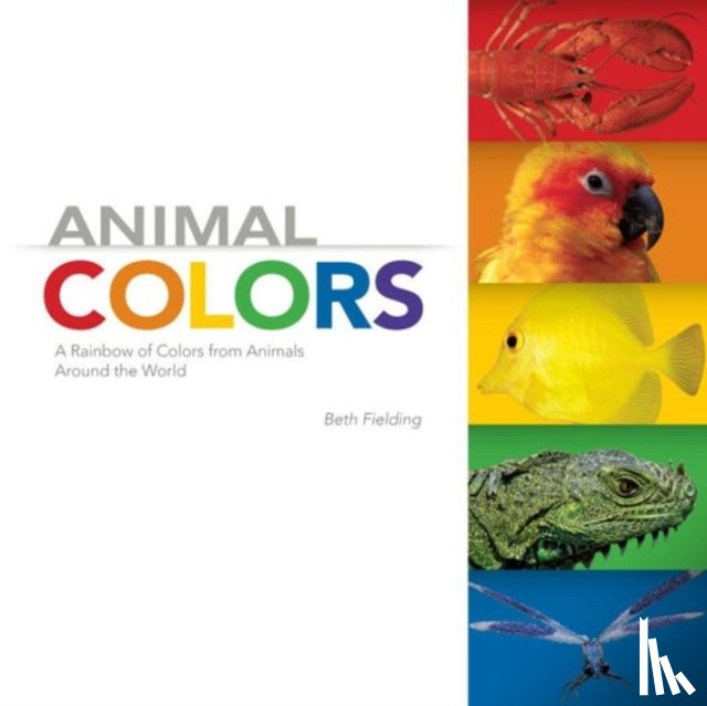 Fielding, Beth - Animal Colors