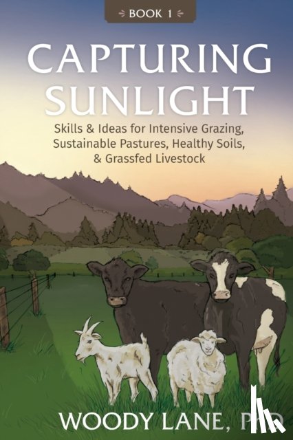 Lane, Woody - Capturing Sunlight, Book 1