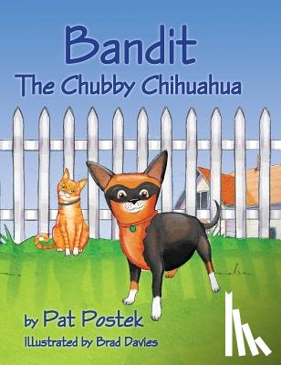 Postek, Pat - Bandit, The Chubby Chihuahua