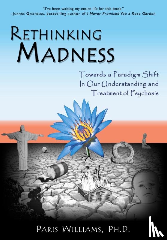 Williams, Paris - Rethinking Madness