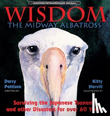 Pattison, Darcy - Wisdom, the Midway Albatross