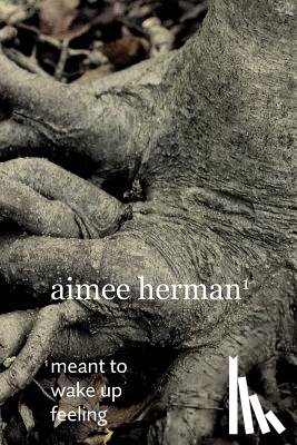 Herman, Aimee - Meant to Wake Up Feeling