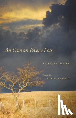 Babb, Sanora - An Owl on Every Post