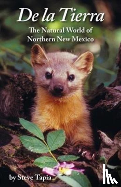 Tapia, Steve - De La Tierra