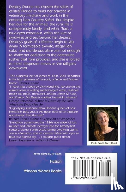 Hendricks, Vicki - Sky Blues