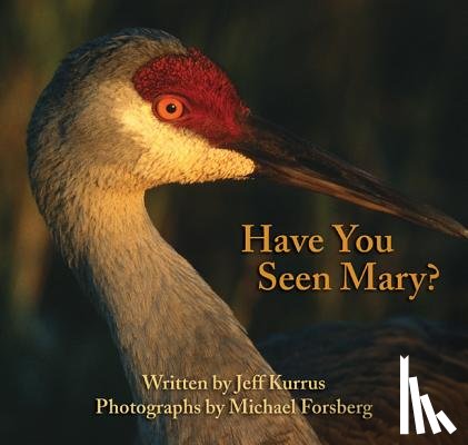 Kurrus, Jeff - Have You Seen Mary?