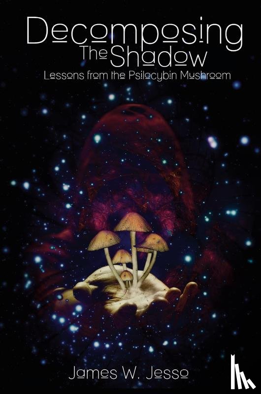Jesso, James W - Decomposing The Shadow