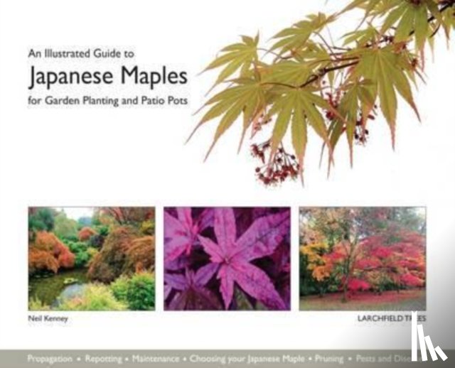 Kenney, Neil - An Illustrated Guide to Japanese Maples for Garden Planting and Patio Pots