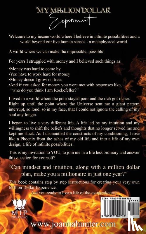 Hunter, Joanna - My Million Dollar Experiment