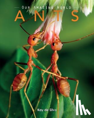 De Silva, Kay - Ants