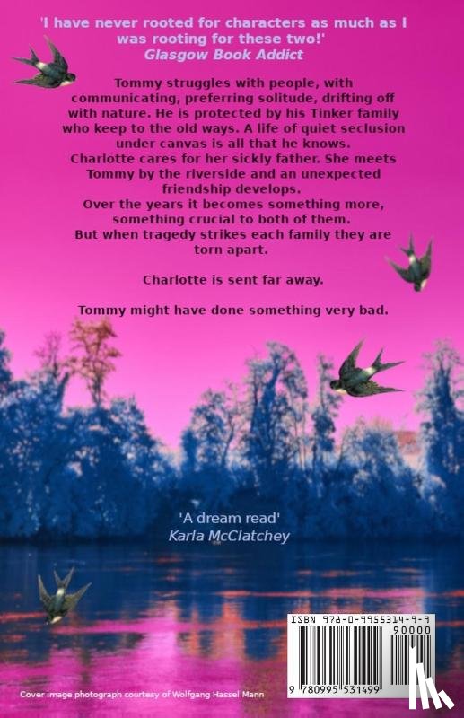 Curnow, Fiona - Before the Swallows Come Back