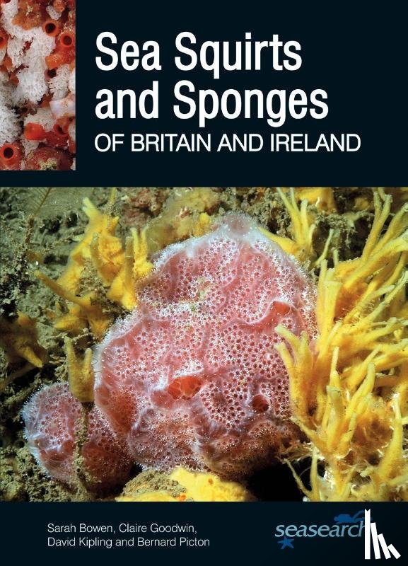 Bowen, Sarah, Goodwin, Claire, Kipling, David, Picton, Bernard - Sea Squirts and Sponges of Britain and Ireland