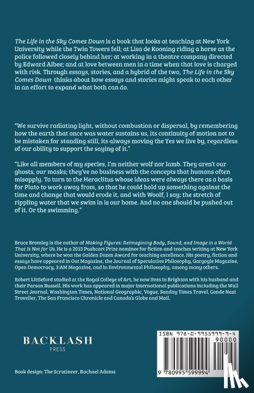 Bromley, Bruce D - The Life in the Sky Comes Down