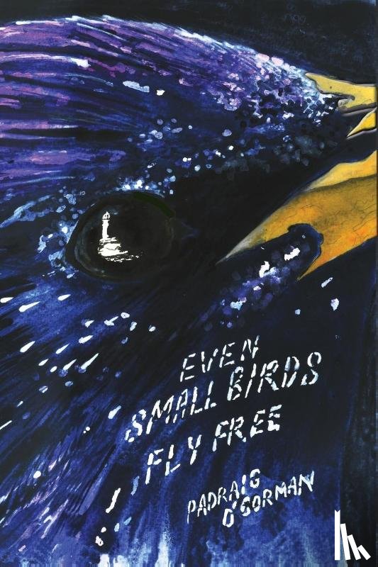 O'Gorman, Padraig - even small birds fly free