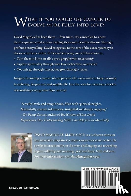 Maginley, David - Beyond Surviving