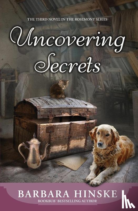 Hinske, Barbara - Uncovering Secrets