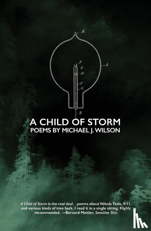 Wilson, MR Michael J - A Child of Storm