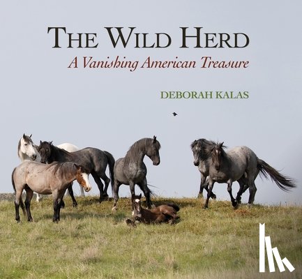 Kalas, Deborah - The Wild Herd: A Vanishing American Treasure