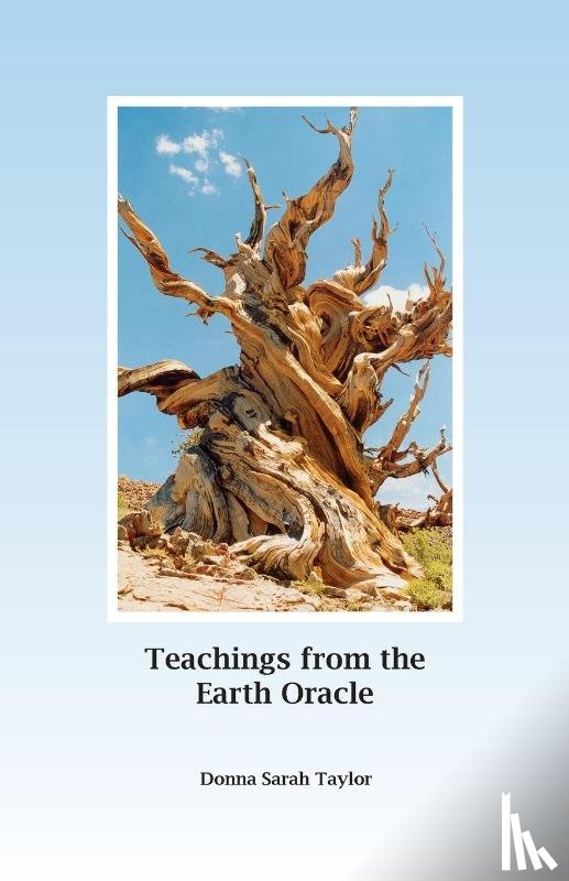 Taylor, Donna Sarah - Teachings from the Earth Oracle