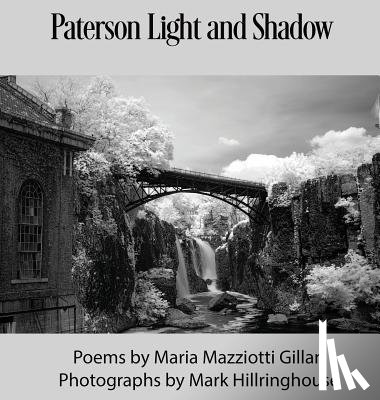 Gillan, Maria Mazziotti, Hillringhouse, Mark - Paterson Light and Shadow