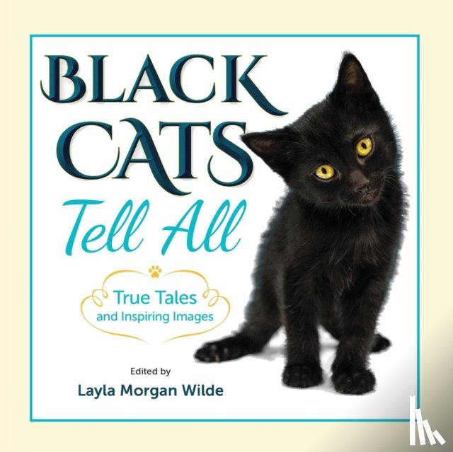 Wilde, Layla Morgan - Black Cats Tell All