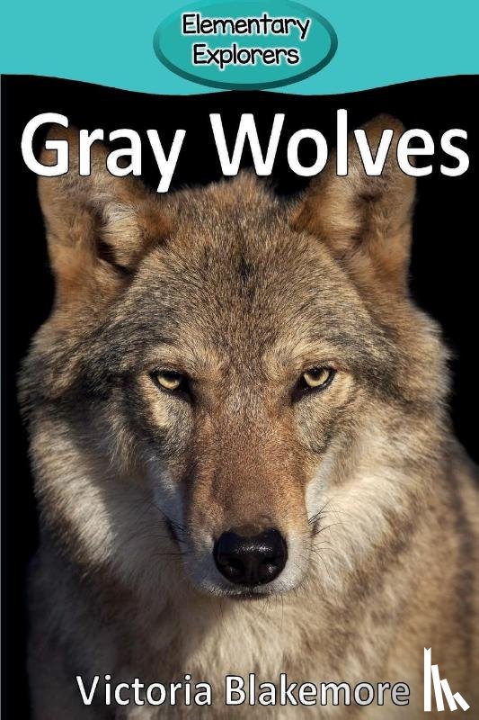 Blakemore, Victoria - Gray Wolves