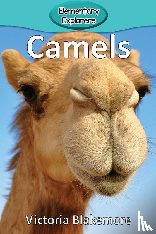 Blakemore, Victoria - Camels